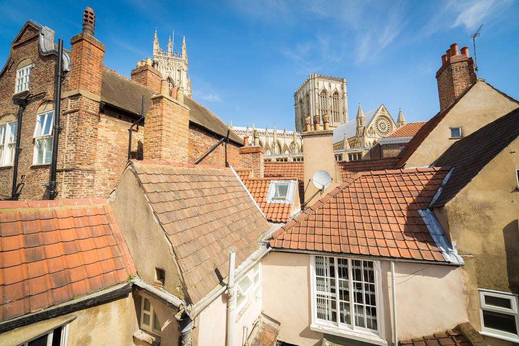 Trembling Madness York